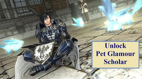 final fantasy 14 pet glamour.